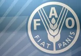 FAO – staże dla studentów 