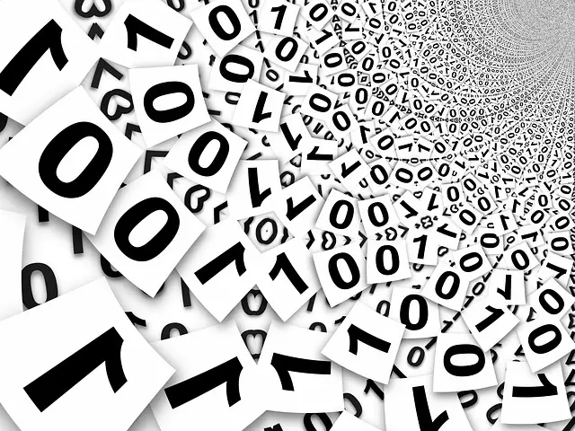 Sukcesy  informatyków z UWr w CERC'2014 