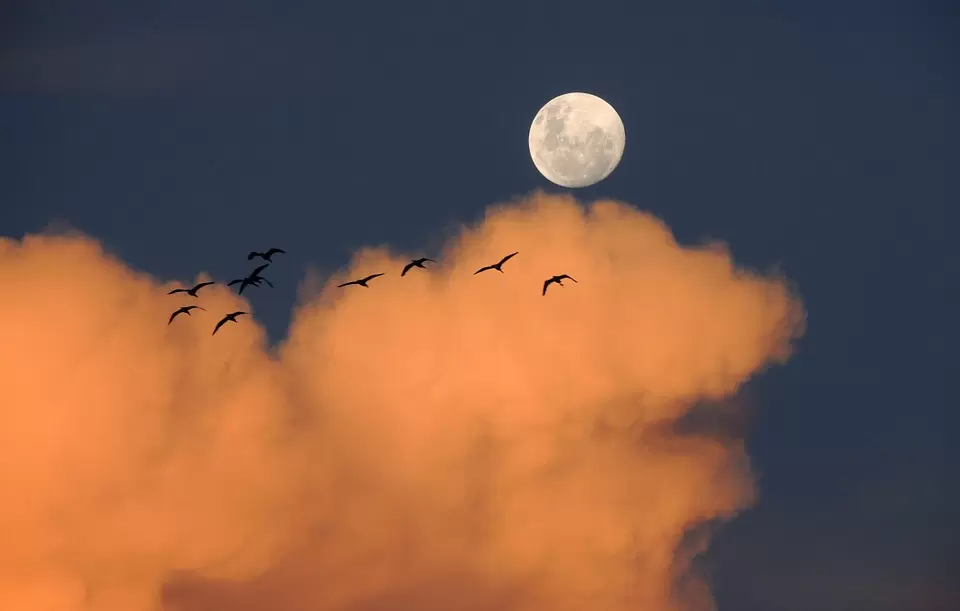 Studenci Politechniki Wrocławskiej podbijają kosmos 