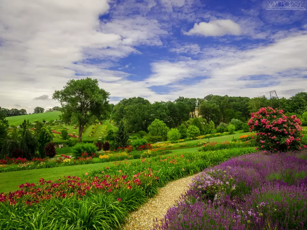 Jubileusz ARBORETUM Wojsławice