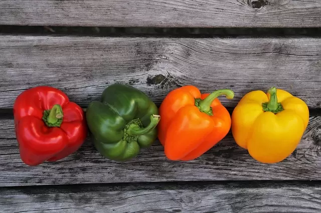 Jak wyglądają możliwości pracy po studiach dietetycznych we Wrocławiu? 