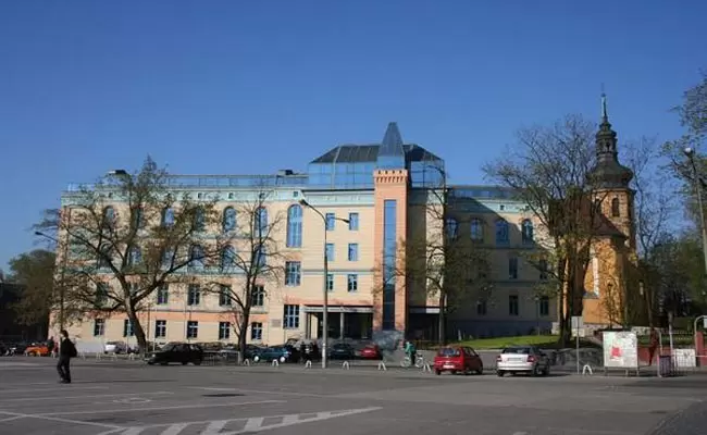 zdjecie