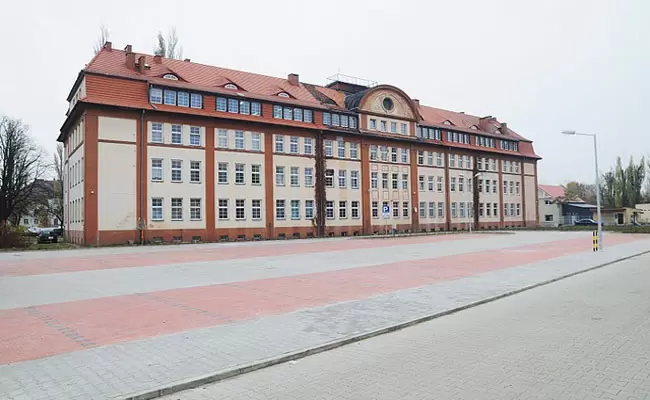 zdjecie